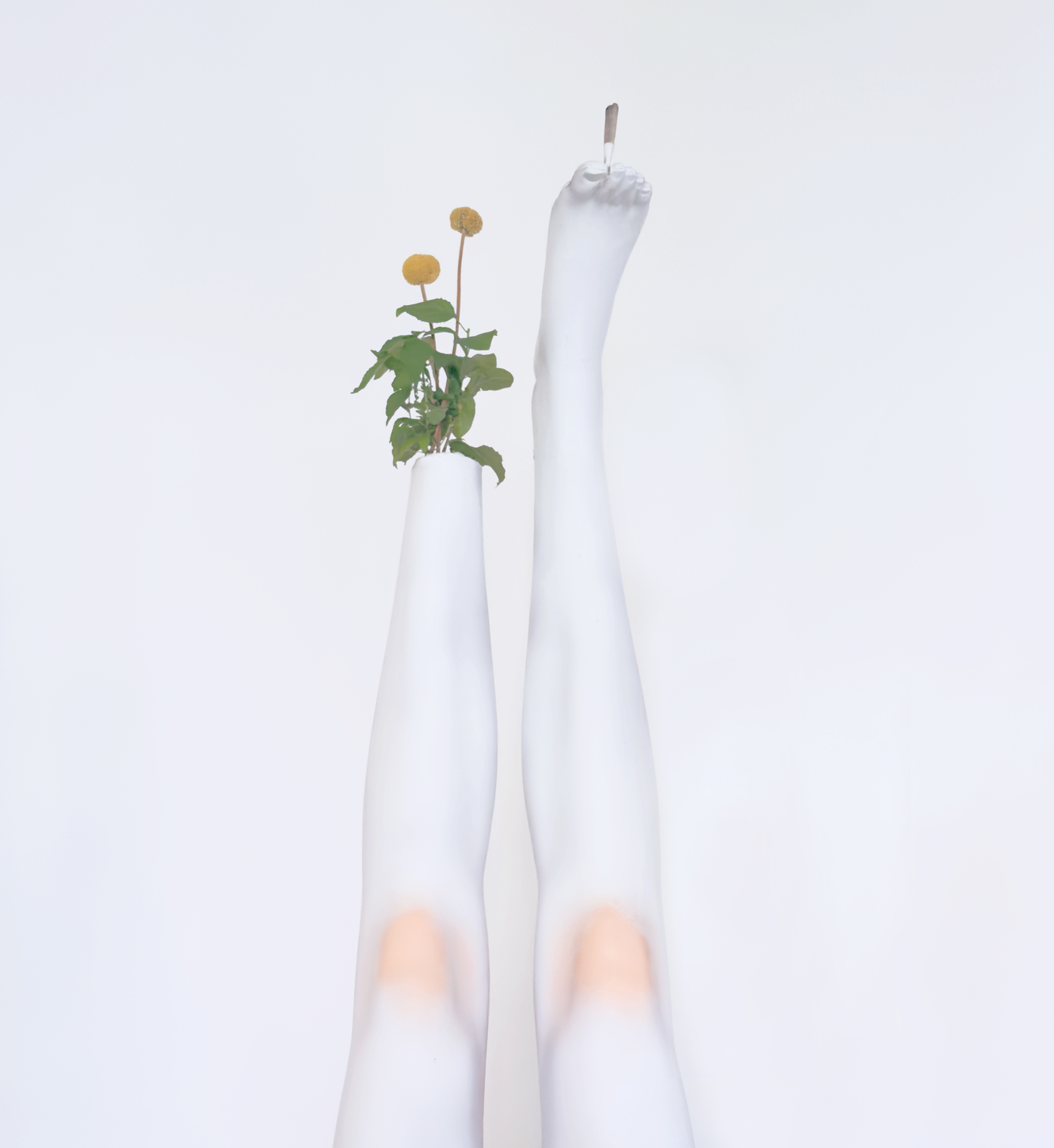 Artwork Title, Year, Medium, Dimensions.